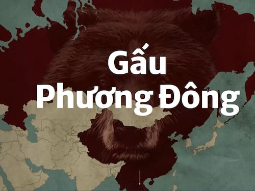 Gấu Phương Đông