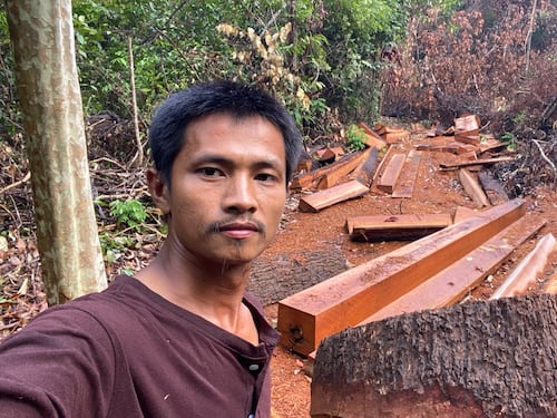 សកម្មជនរកឃើញថា ដែនជម្រកសត្វព្រៃព្រះរការកំពុងរងការកាប់បំផ្លាញយ៉ាងធ្ងន់ធ្ងរ